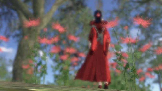 求pr安装包及安装方法?