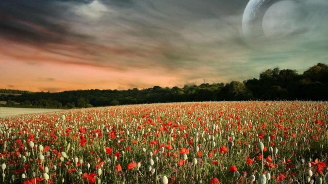 大家怎么看待长沙这个城市？